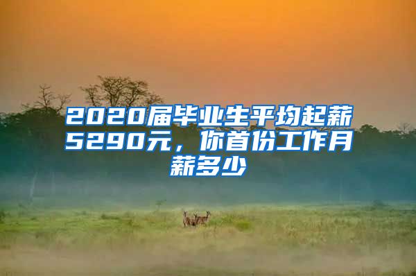 2020届毕业生平均起薪5290元，你首份工作月薪多少