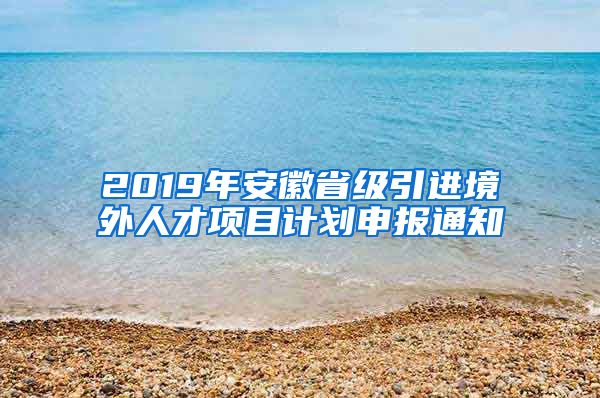 2019年安徽省级引进境外人才项目计划申报通知