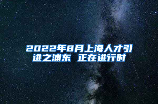 2022年8月上海人才引进之浦东 正在进行时