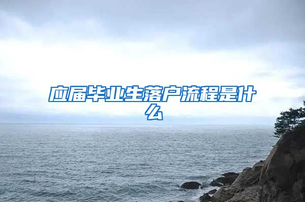 应届毕业生落户流程是什么