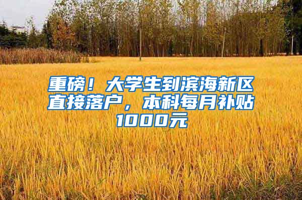 重磅！大学生到滨海新区直接落户，本科每月补贴1000元