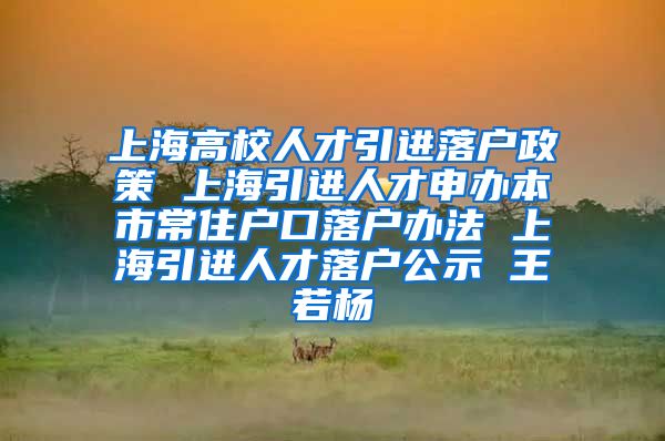 上海高校人才引进落户政策 上海引进人才申办本市常住户口落户办法 上海引进人才落户公示 王若杨