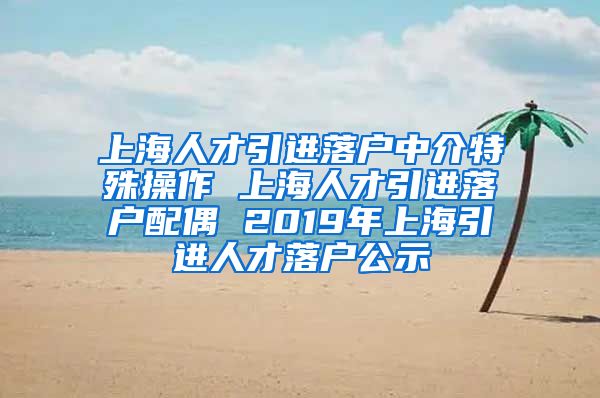 上海人才引进落户中介特殊操作 上海人才引进落户配偶 2019年上海引进人才落户公示