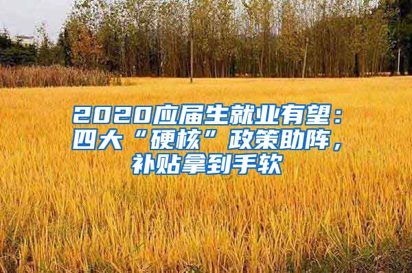 2020应届生就业有望：四大“硬核”政策助阵，补贴拿到手软