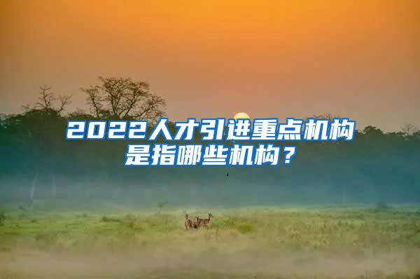 2022人才引进重点机构是指哪些机构？