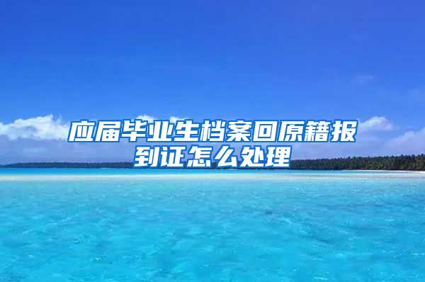 应届毕业生档案回原籍报到证怎么处理