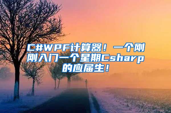 C#WPF计算器！一个刚刚入门一个星期Csharp的应届生！