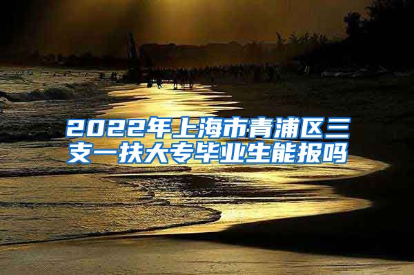 2022年上海市青浦区三支一扶大专毕业生能报吗