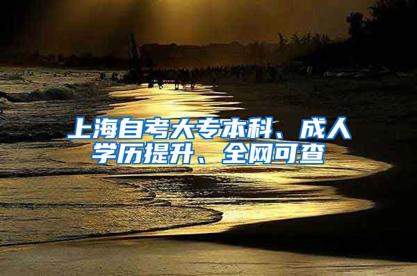 上海自考大专本科、成人学历提升、全网可查