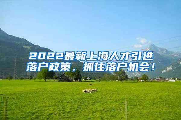 2022最新上海人才引进落户政策，抓住落户机会！