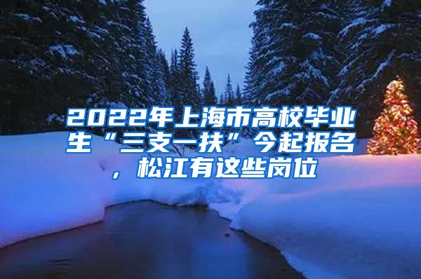 2022年上海市高校毕业生“三支一扶”今起报名，松江有这些岗位