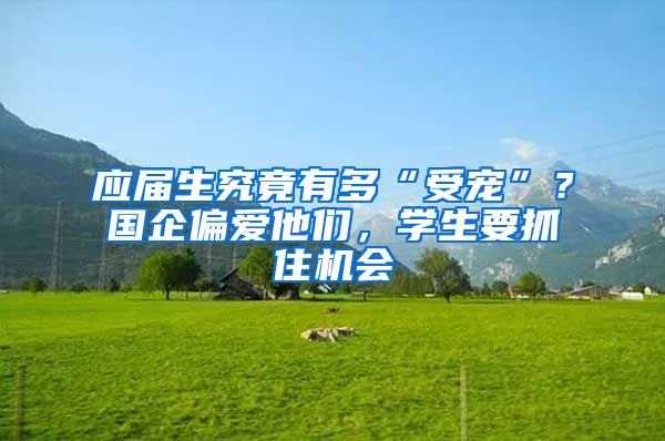 应届生究竟有多“受宠”？国企偏爱他们，学生要抓住机会