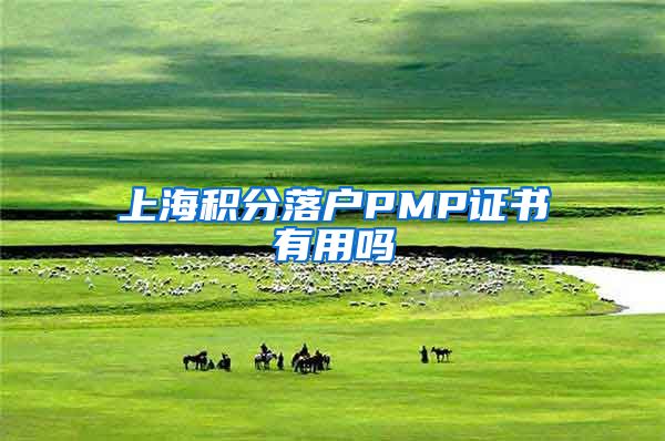 上海积分落户PMP证书有用吗