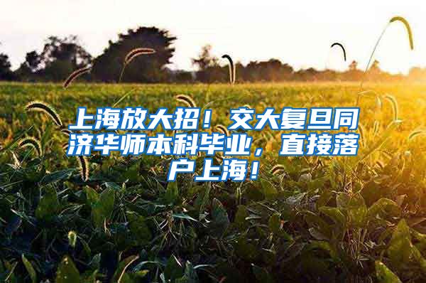 上海放大招！交大复旦同济华师本科毕业，直接落户上海！