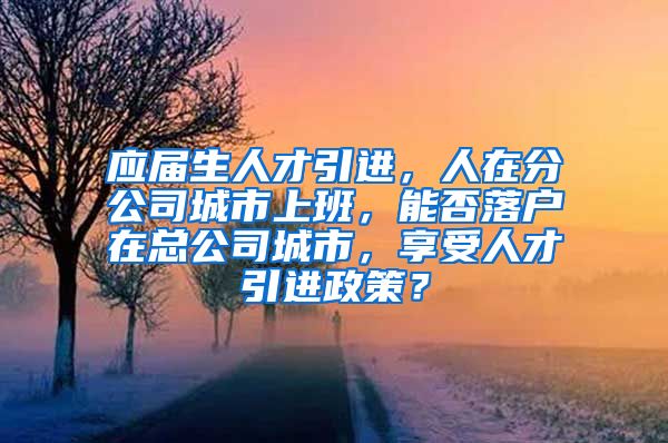 应届生人才引进，人在分公司城市上班，能否落户在总公司城市，享受人才引进政策？