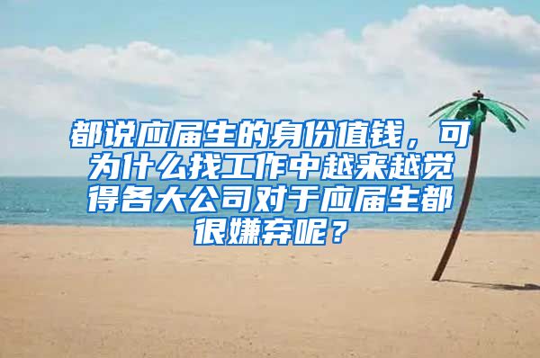 都说应届生的身份值钱，可为什么找工作中越来越觉得各大公司对于应届生都很嫌弃呢？