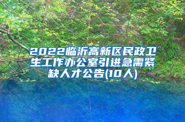 2022临沂高新区民政卫生工作办公室引进急需紧缺人才公告(10人)