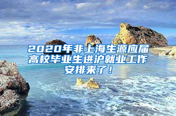 2020年非上海生源应届高校毕业生进沪就业工作安排来了！