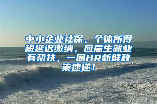 中小企业社保、个体所得税延迟缴纳，应届生就业有帮扶，一周HR新鲜政策速递！