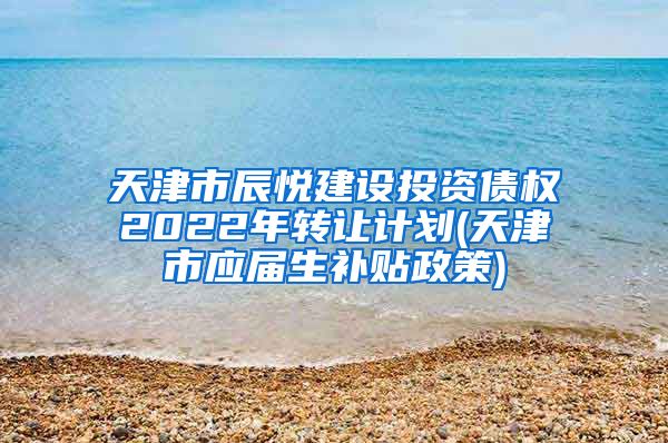 天津市辰悦建设投资债权2022年转让计划(天津市应届生补贴政策)