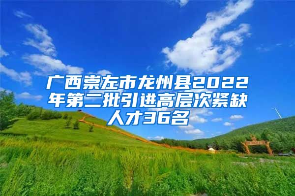 广西崇左市龙州县2022年第二批引进高层次紧缺人才36名