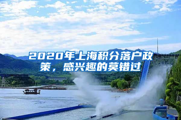 2020年上海积分落户政策，感兴趣的莫错过