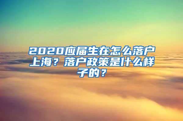 2020应届生在怎么落户上海？落户政策是什么样子的？