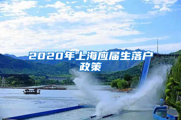 2020年上海应届生落户政策