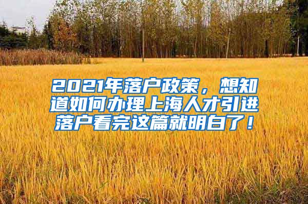 2021年落户政策，想知道如何办理上海人才引进落户看完这篇就明白了！