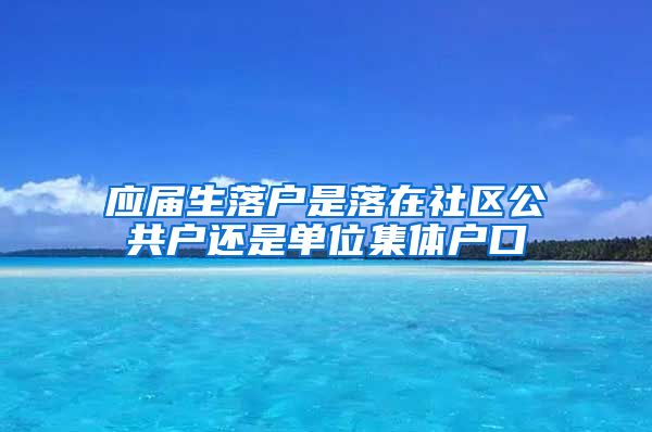 应届生落户是落在社区公共户还是单位集体户口