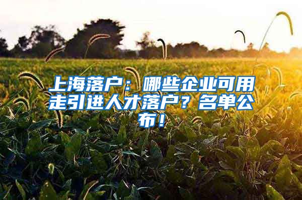 上海落户：哪些企业可用走引进人才落户？名单公布！