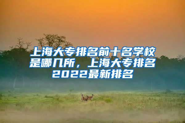 上海大专排名前十名学校是哪几所，上海大专排名2022最新排名