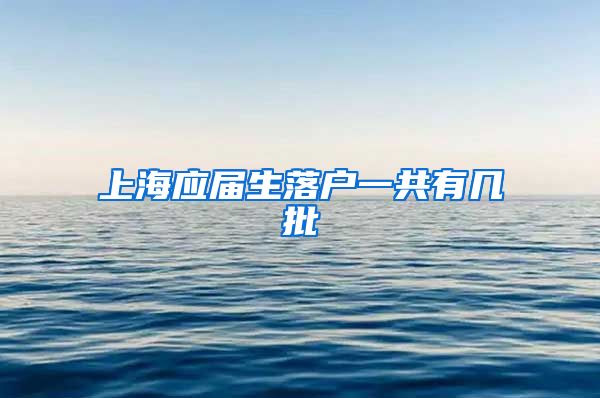 上海应届生落户一共有几批