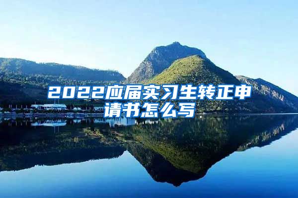 2022应届实习生转正申请书怎么写