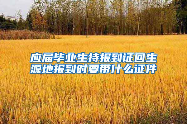 应届毕业生持报到证回生源地报到时要带什么证件