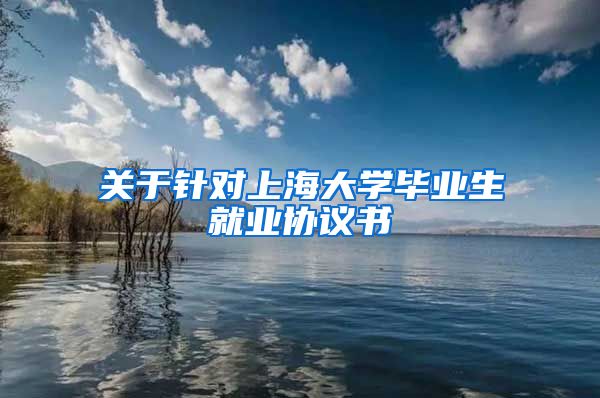 关于针对上海大学毕业生就业协议书