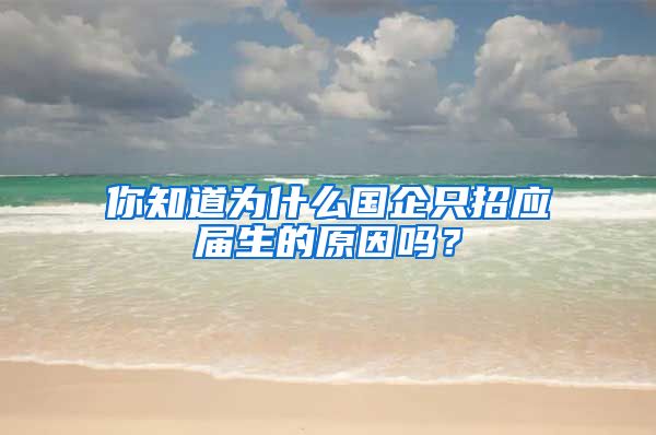 你知道为什么国企只招应届生的原因吗？