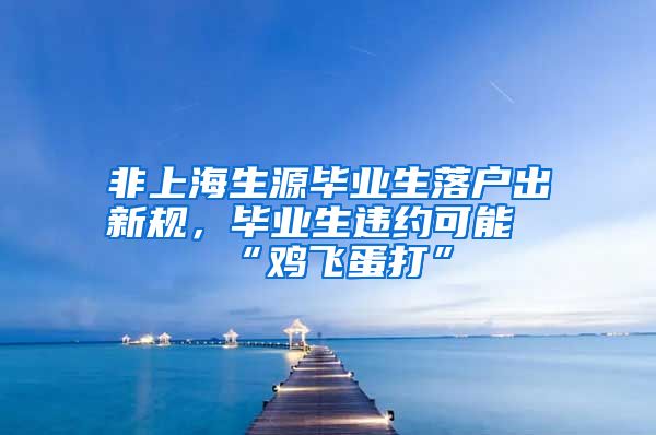 非上海生源毕业生落户出新规，毕业生违约可能“鸡飞蛋打”