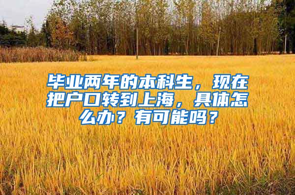 毕业两年的本科生，现在把户口转到上海，具体怎么办？有可能吗？