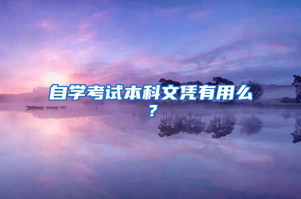 自学考试本科文凭有用么？