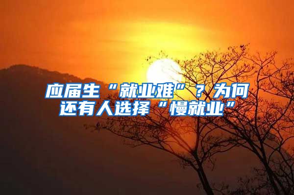 应届生“就业难”？为何还有人选择“慢就业”