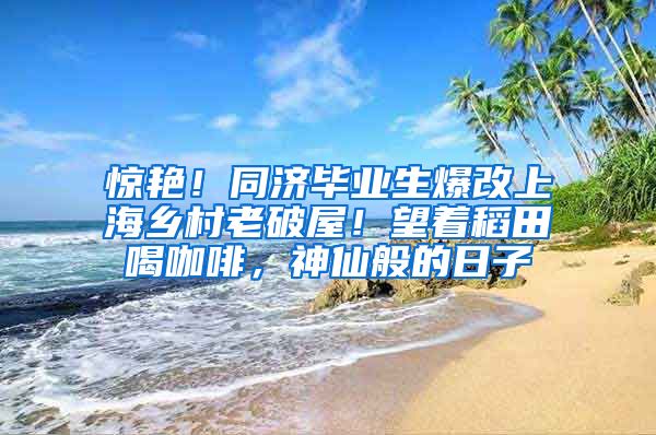 惊艳！同济毕业生爆改上海乡村老破屋！望着稻田喝咖啡，神仙般的日子