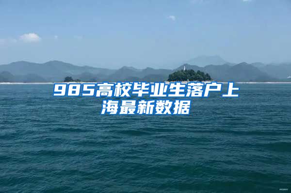 985高校毕业生落户上海最新数据