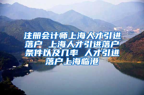 注册会计师上海人才引进落户 上海人才引进落户条件以及几率 人才引进落户上海临港