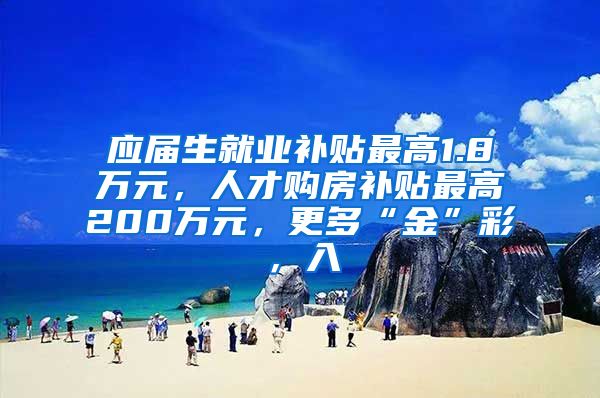 应届生就业补贴最高1.8万元，人才购房补贴最高200万元，更多“金”彩，入↓