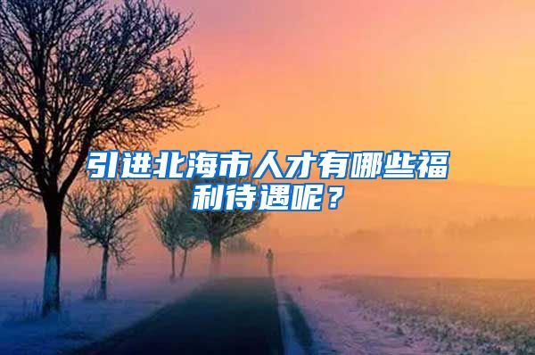 引进北海市人才有哪些福利待遇呢？