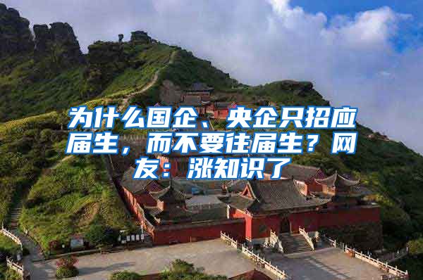 为什么国企、央企只招应届生，而不要往届生？网友：涨知识了