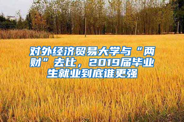 对外经济贸易大学与“两财”去比，2019届毕业生就业到底谁更强