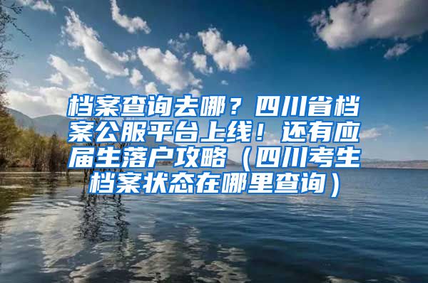 档案查询去哪？四川省档案公服平台上线！还有应届生落户攻略（四川考生档案状态在哪里查询）