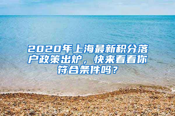 2020年上海最新积分落户政策出炉，快来看看你符合条件吗？